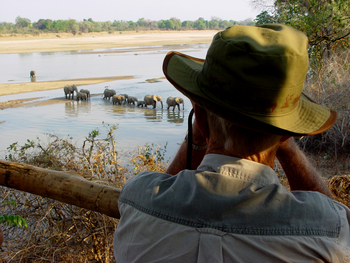 Shenton Safaris Shenton Safaris: Elephant Hide