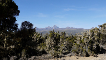 Sirikoi Lodge Sirikoi Lodge: Wald am Mount Kenya