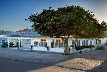 Swakopmund Guesthouse: Baum am Hauseck