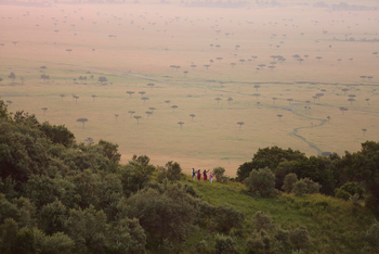 Angama Mara: Naturwanderung in der Maasai Mara