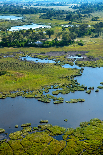 Atzaro Okavango Camp: Scenic Heliflight