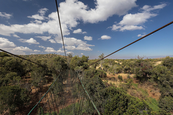 Borana Lodge Borana Lodge: Hängeseilbrücke