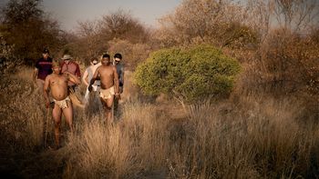 Deception Valley Lodge Deception Valley Lodge: Buschwanderung