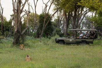 Gomoti Plains Camp: Aktivitäten