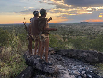 Great Tsau Hill: Bush Walk