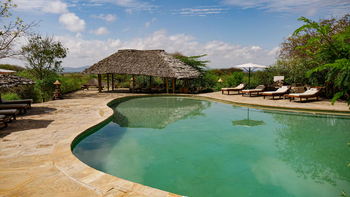 KIA Lodge: Swimming Pool mit Liegestühlen im Schatten