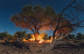 Leroo La Tau Lodge: Bush Dinner