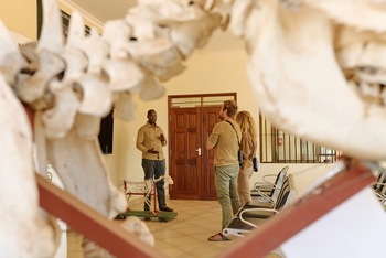 Mkomazi Wilderness Retreat: Lehrgespräch gerahmt von Tierskelett