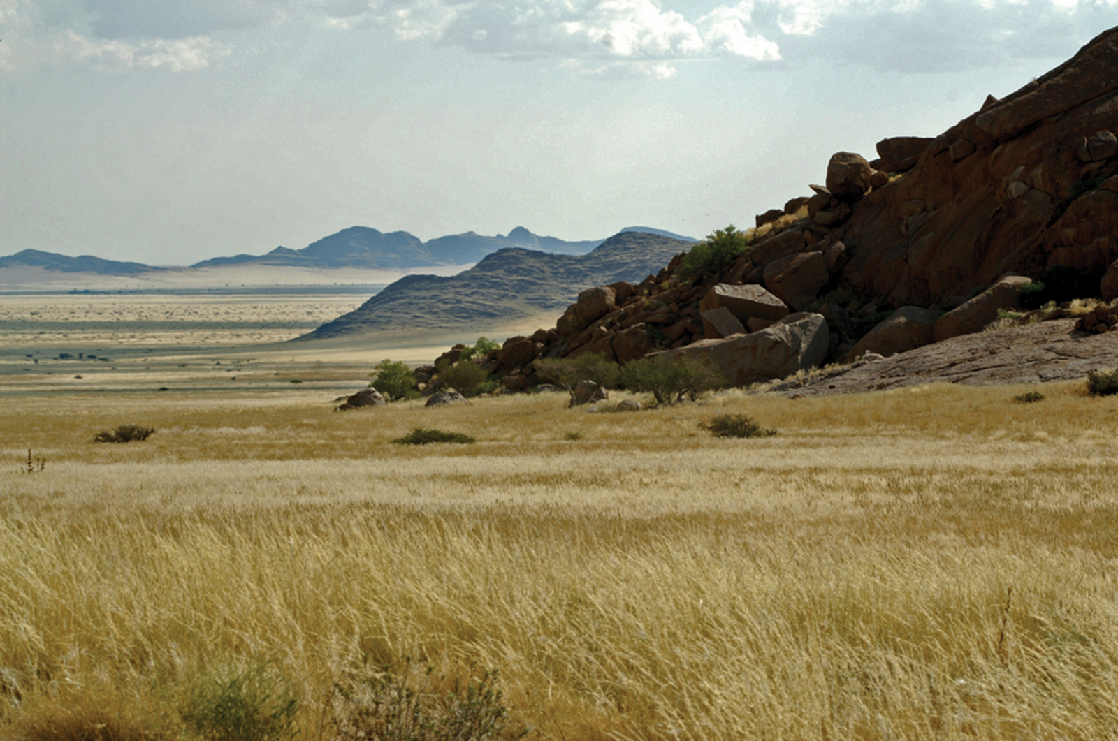 Namib Naukluft Lodge Namib Naukluft Lodge: Berge und Savanne