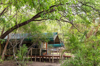 Ndhovu Safari Lodge: Luxus-Safarizelt