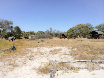Camp Savuti: Zelte im Gelände