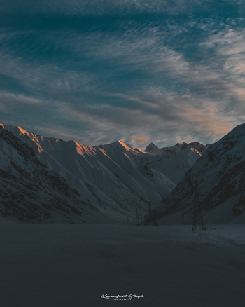 Drenmo Lodge Drenmo Lodge: Himalaya-Braunbär