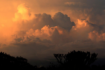 Legendary Mwiba Lodge: Leuchtende Wolken