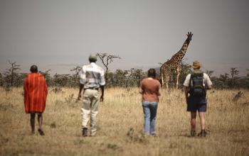 Naboisho Camp: Walking Safari