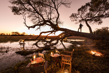 Okavango Explorers Camp Okavango Explorers Camp: Guide auf Baumstamm