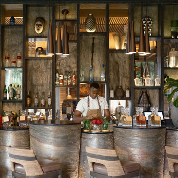 One and Only Gorilla's Nest: Barmann