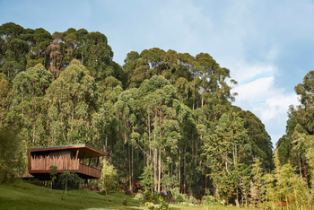 One and Only Gorilla's Nest: Exterior Villa