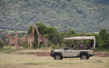 Saruni Mara Camp: Game Drive