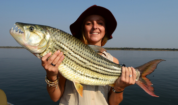 Sausage Tree Camp: Tiger Fish