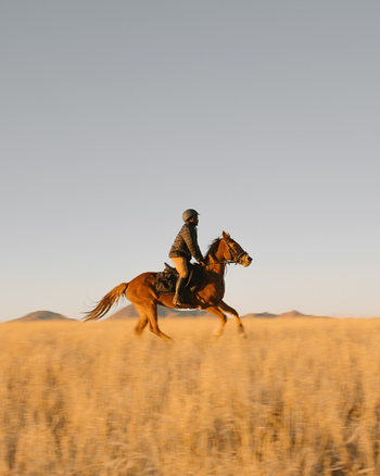 Sonop Camp: Ausflüge
