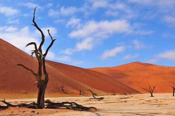 Sossusvlei Lodge: Deadvlei