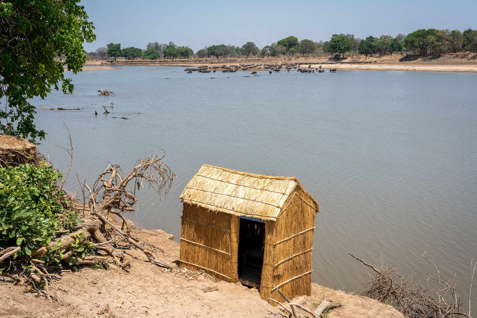 Tena Tena Camp Tena Tena Camp: Hippo Hide