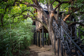 Treehouse Hideaway: Baumhaus
