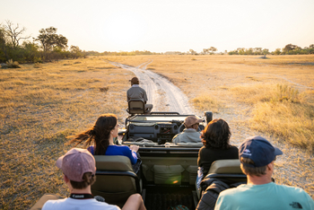 4 Rivers Camp 4 Rivers Camp: Game Drive durch die Savanne