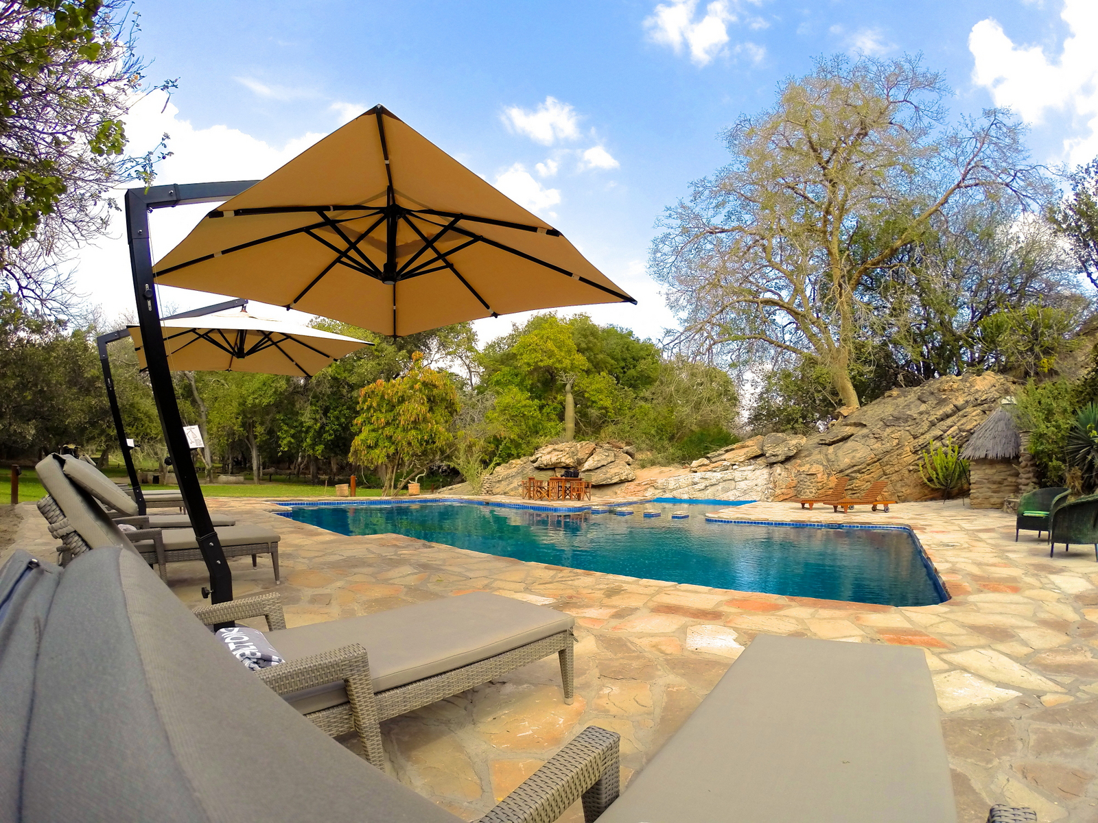 Tuli Safari Lodge Mashatu Tuli Safari Lodge Mashatu: Pool Area