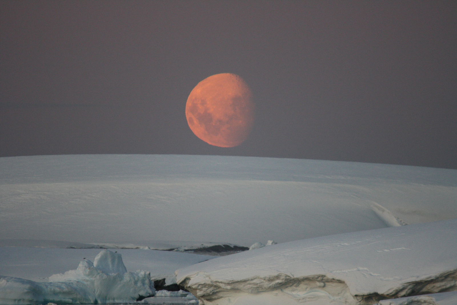 Antarctica21 Antarctica21