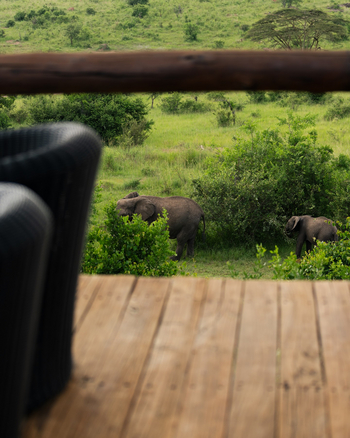 Elewana Serengeti Migration Camp: Elefanten nahe des Camps