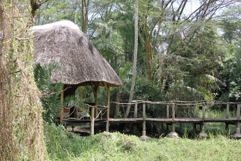 Enjojo Lodge: Holzsteg und Gästechalet