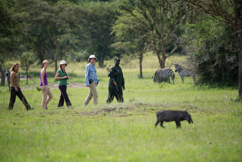 Mihingo Lodge: Walking Safari
