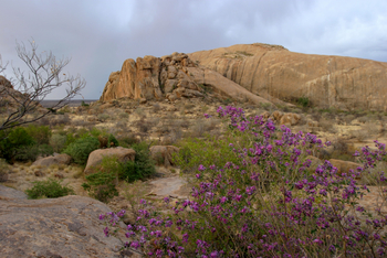 Ondudu Safari Lodge Ondudu Safari Lodge: Felsen
