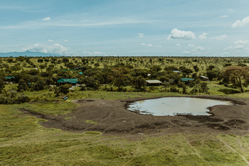 Porini Rhino Camp: Wasserloch vor dem Camp