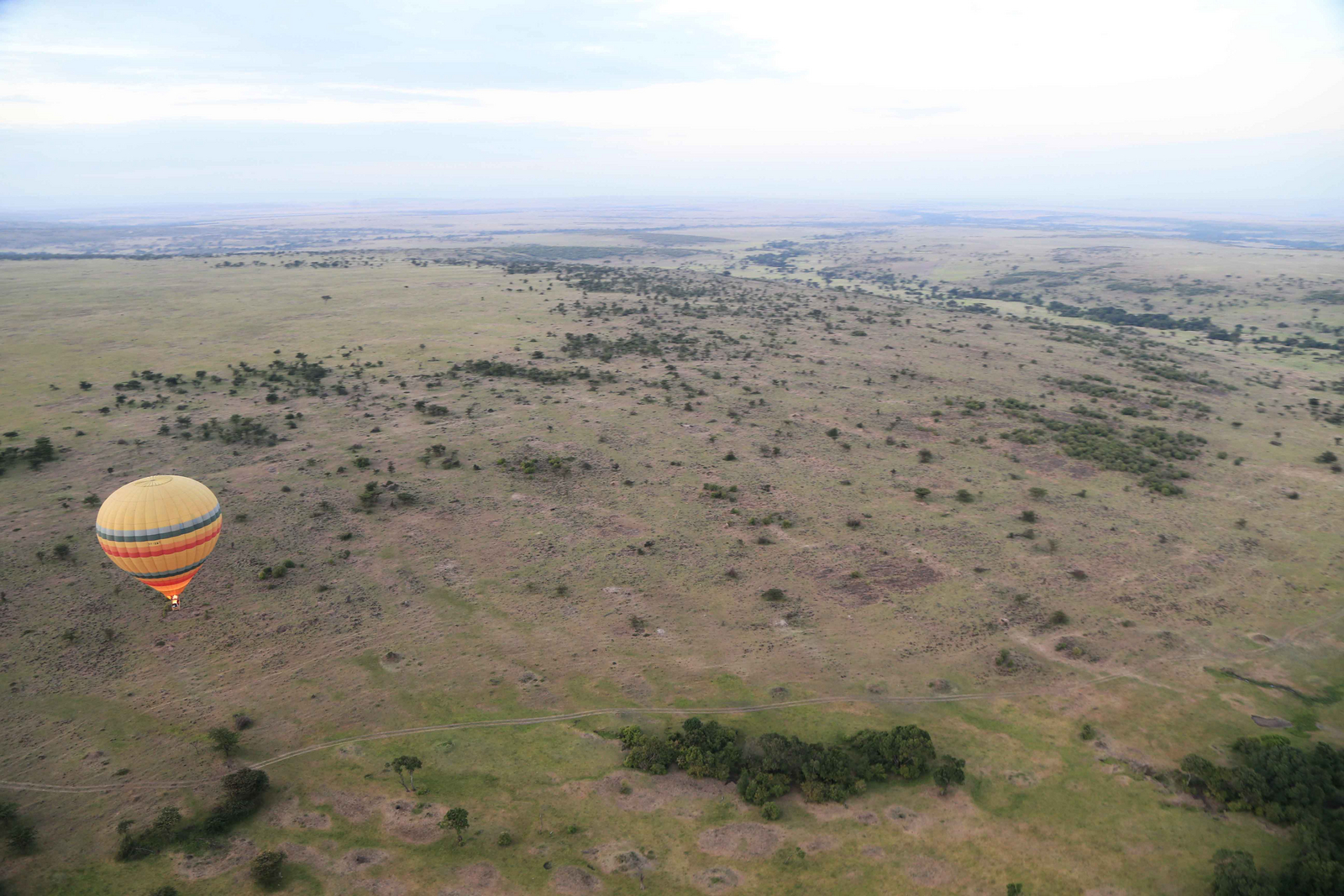 Richard's River Camp Richard's River Camp: Balloon Safari