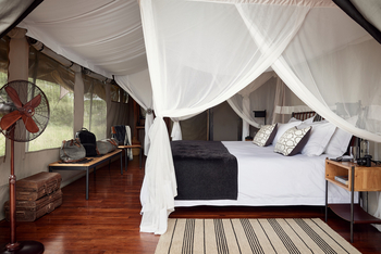 Sanctuary Kichakani Serengeti Camp Sanctuary Kichakani Serengeti Camp: Doppelbett