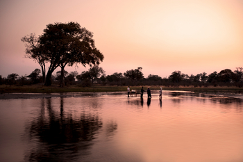 Selinda Explorers Camp Selinda Explorers Camp: Sundowner im Spillway