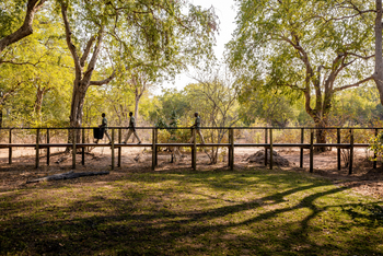 Sungani Lodge Sungani Lodge: Laufstege