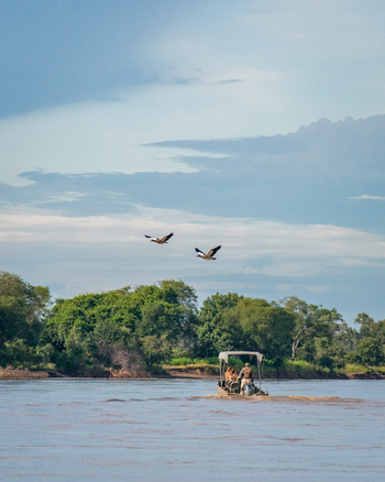 Time + Tide South Luangwa Time + Tide South Luangwa: Bootsafari