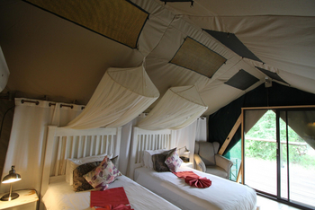 Tlouwana Camp Tlouwana Camp: Zwei Einzelbetten