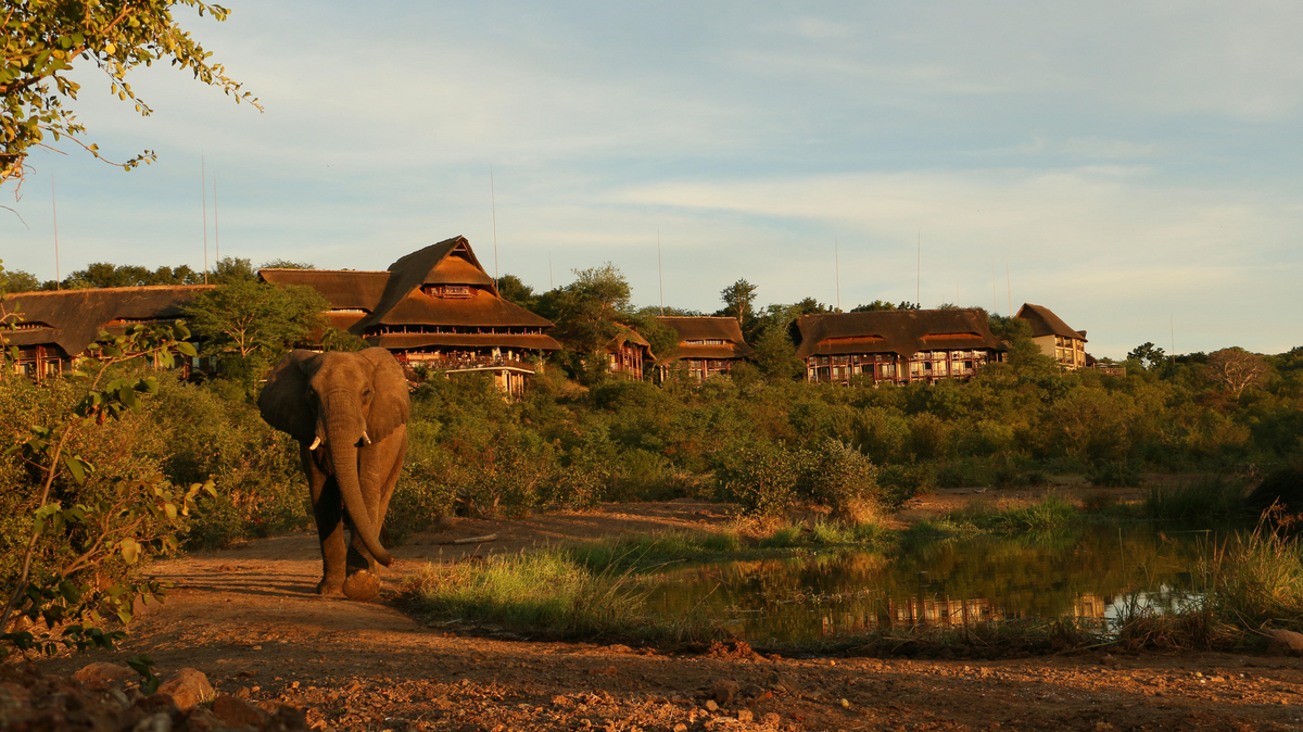 Victoria Falls Safari Lodge