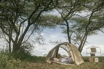 Wayo Walking Camp: Lesen im Campingzelt