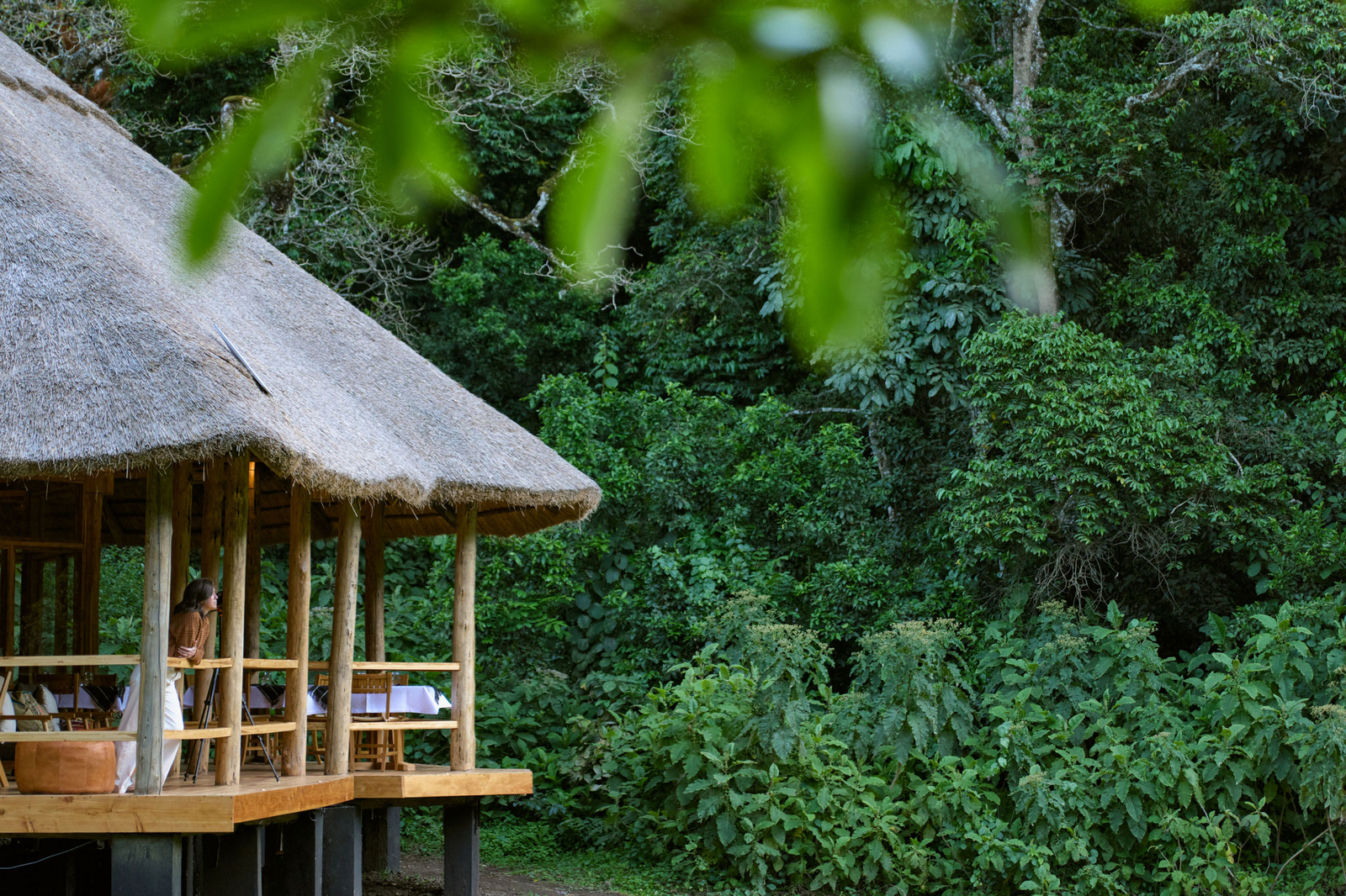 Koroi Forest Camp Koroi Forest Camp: Zentralbereich am Wald