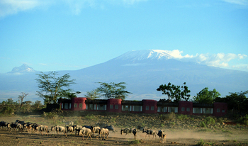 Amboseli Serena Safari Lodge: Fassade vor der Wiederbegrünung