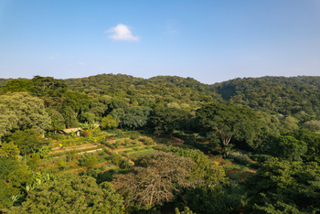 Gibb's Farm: Farm und Landschaft