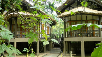 Infinity Resort Kaziranga: Bungalows auf Stelzen