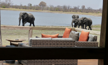 Nogatsaa Pans Chobe Lodge: Elefanten vor dem Deck