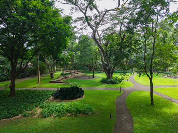 Rivertrees Country Inn: Wege im Garten