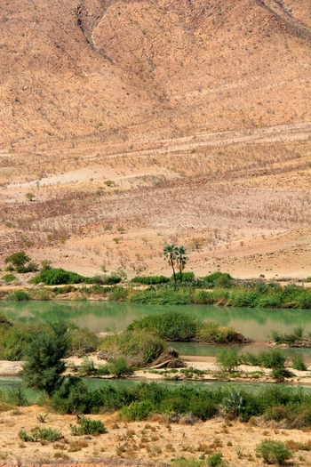 Sanctuary Okahirongo River Camp Sanctuary Okahirongo River Camp: No Title